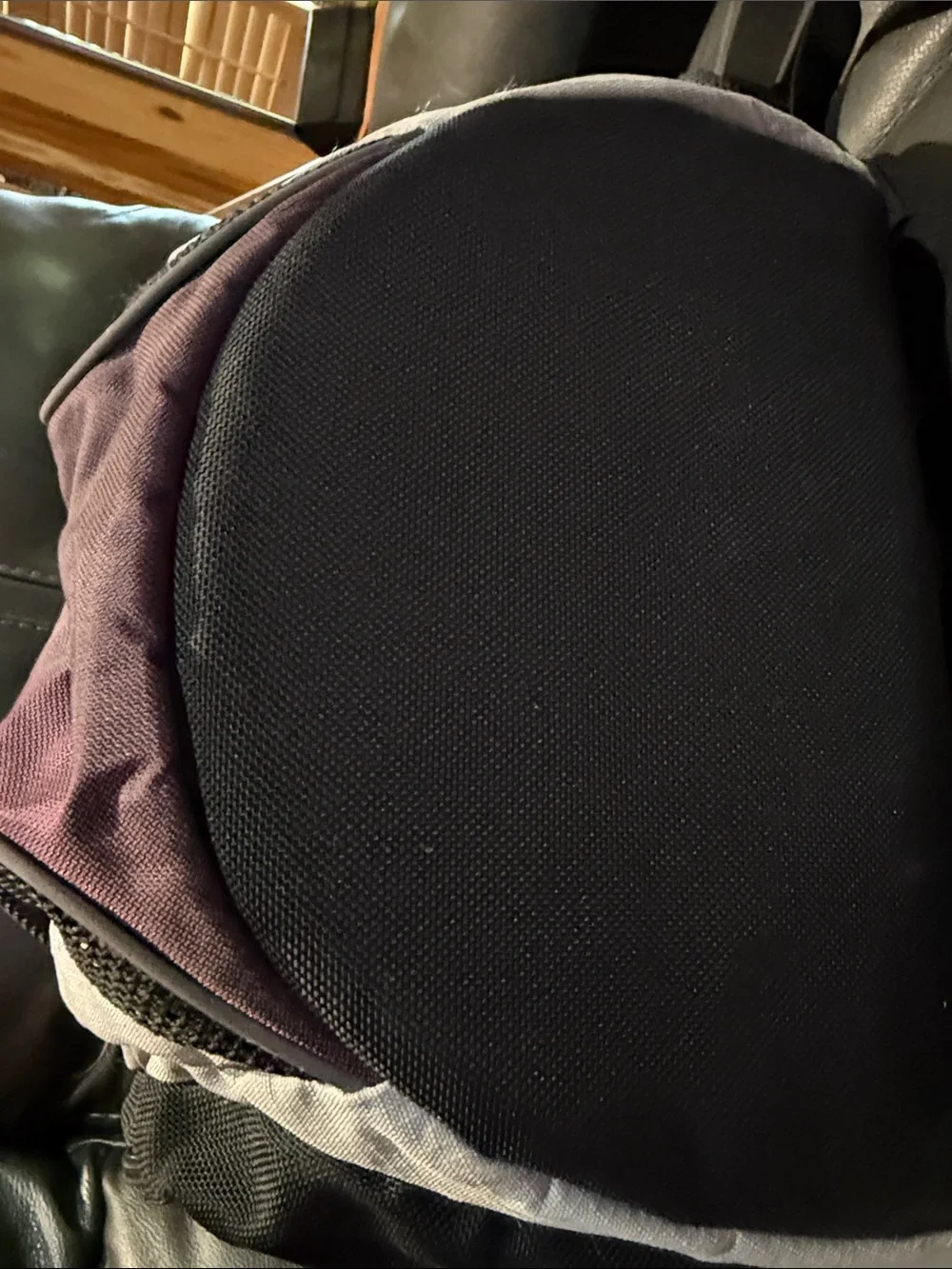 L.L. Bean roomy pack
